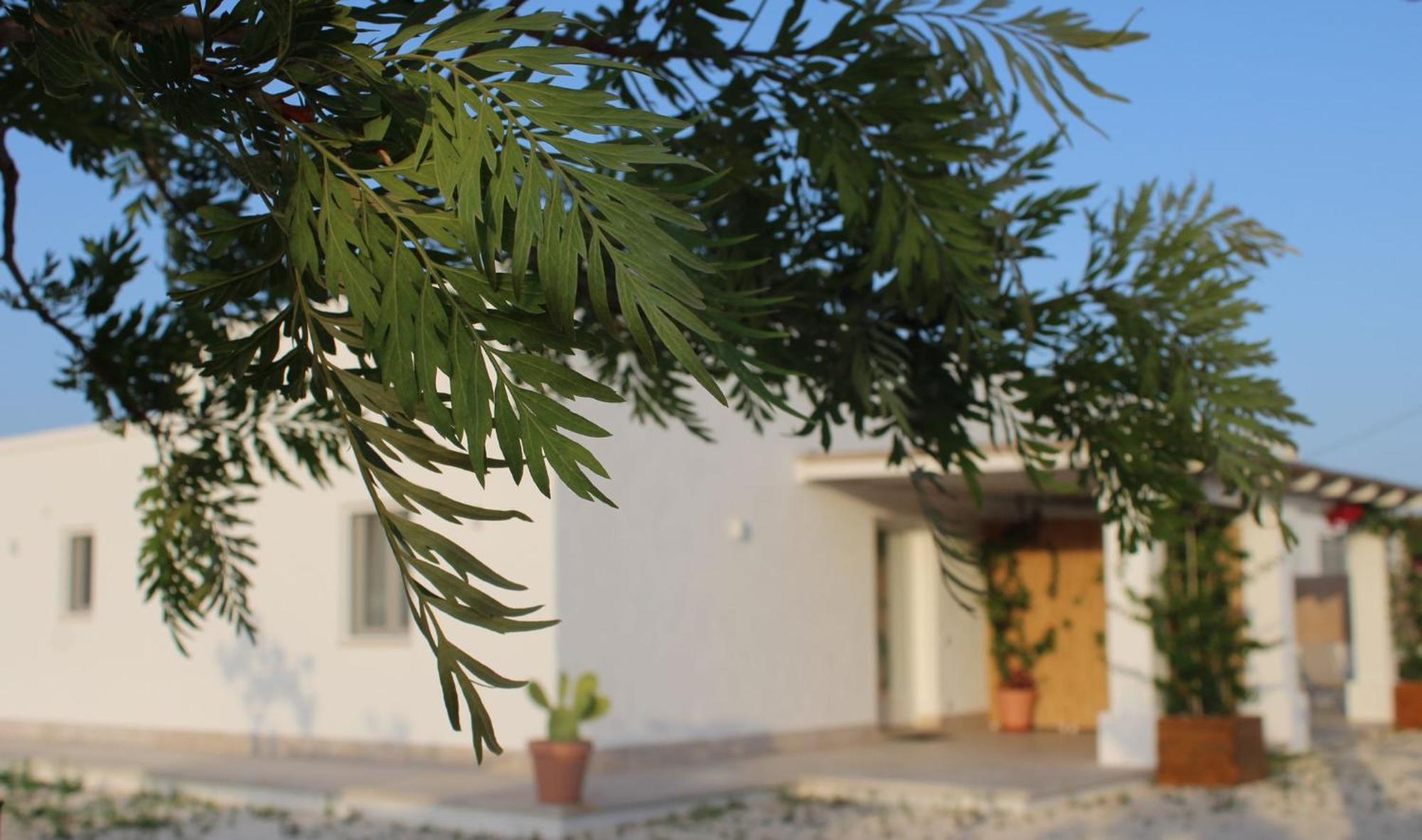 Villa Susca - Villa Sul Mare Monopoli Buitenkant foto
